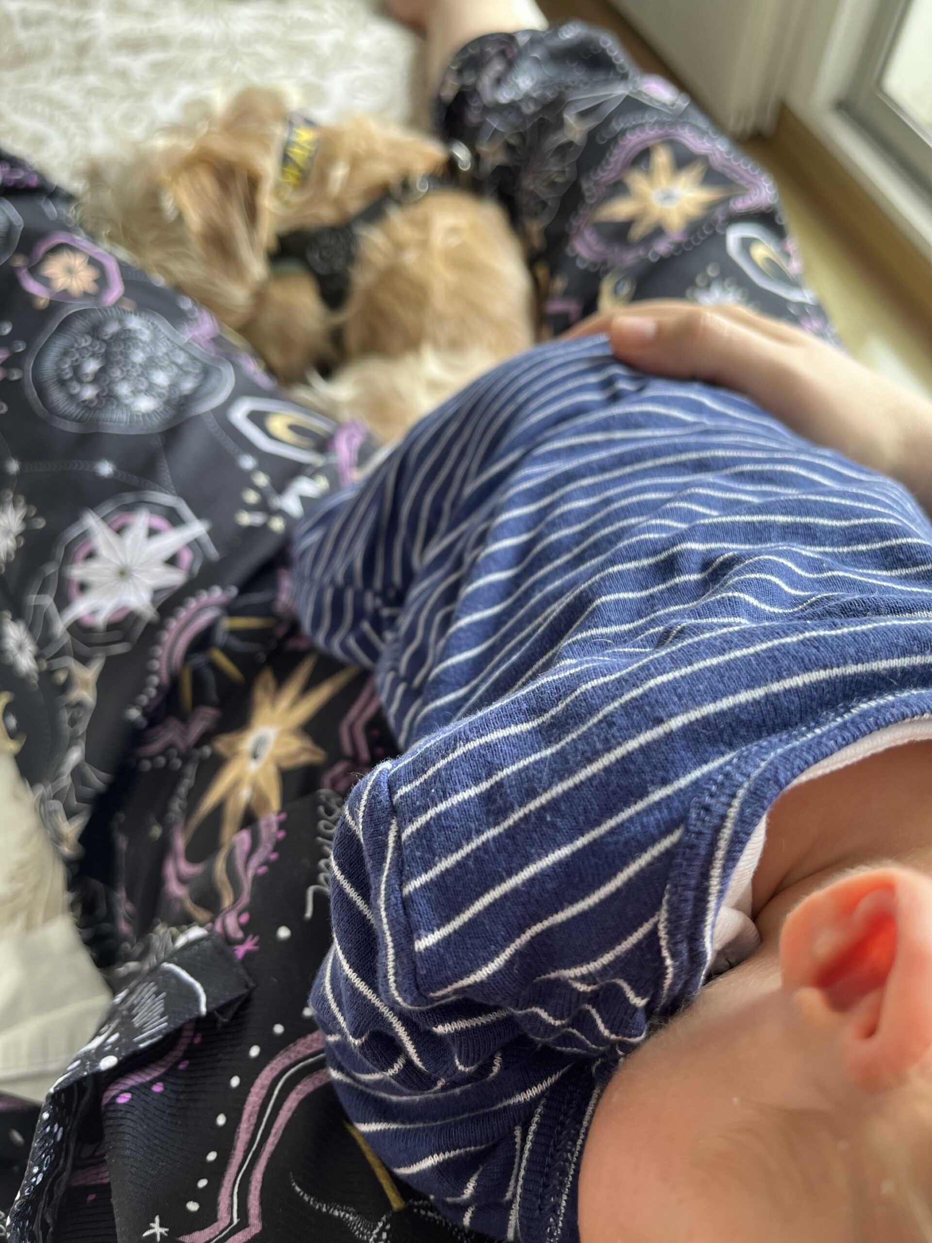 ¡40 días de transformación total!